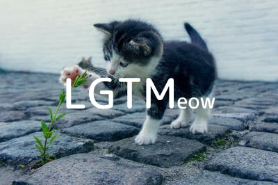 lgtm-cat-image