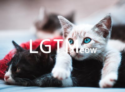 lgtm-cat-image